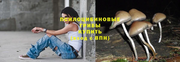 амф Зеленодольск